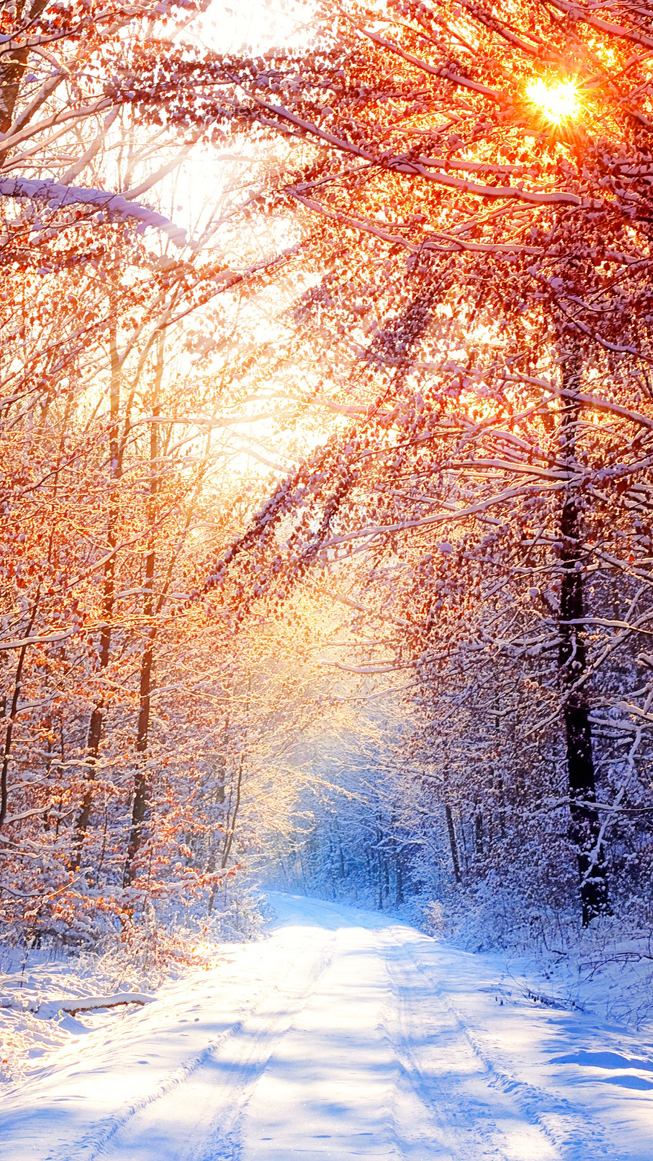 Snow Trees Winter Morning 4K Ultra HD Mobile Wallpaper