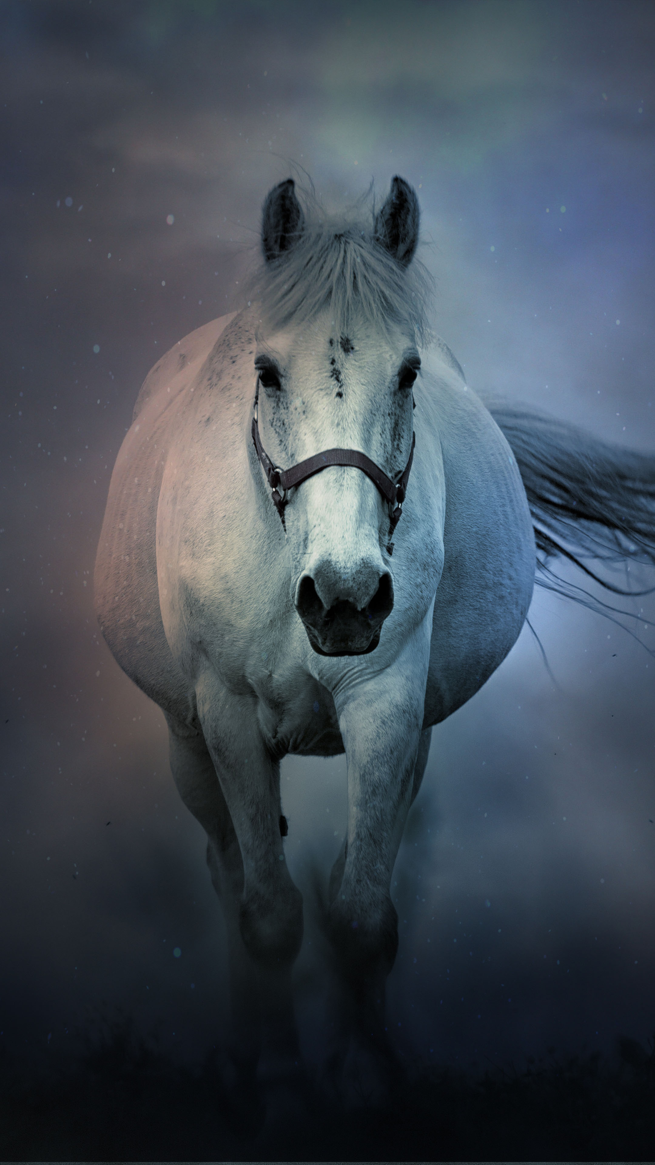 White Horse Running 4K Ultra HD Mobile Wallpaper