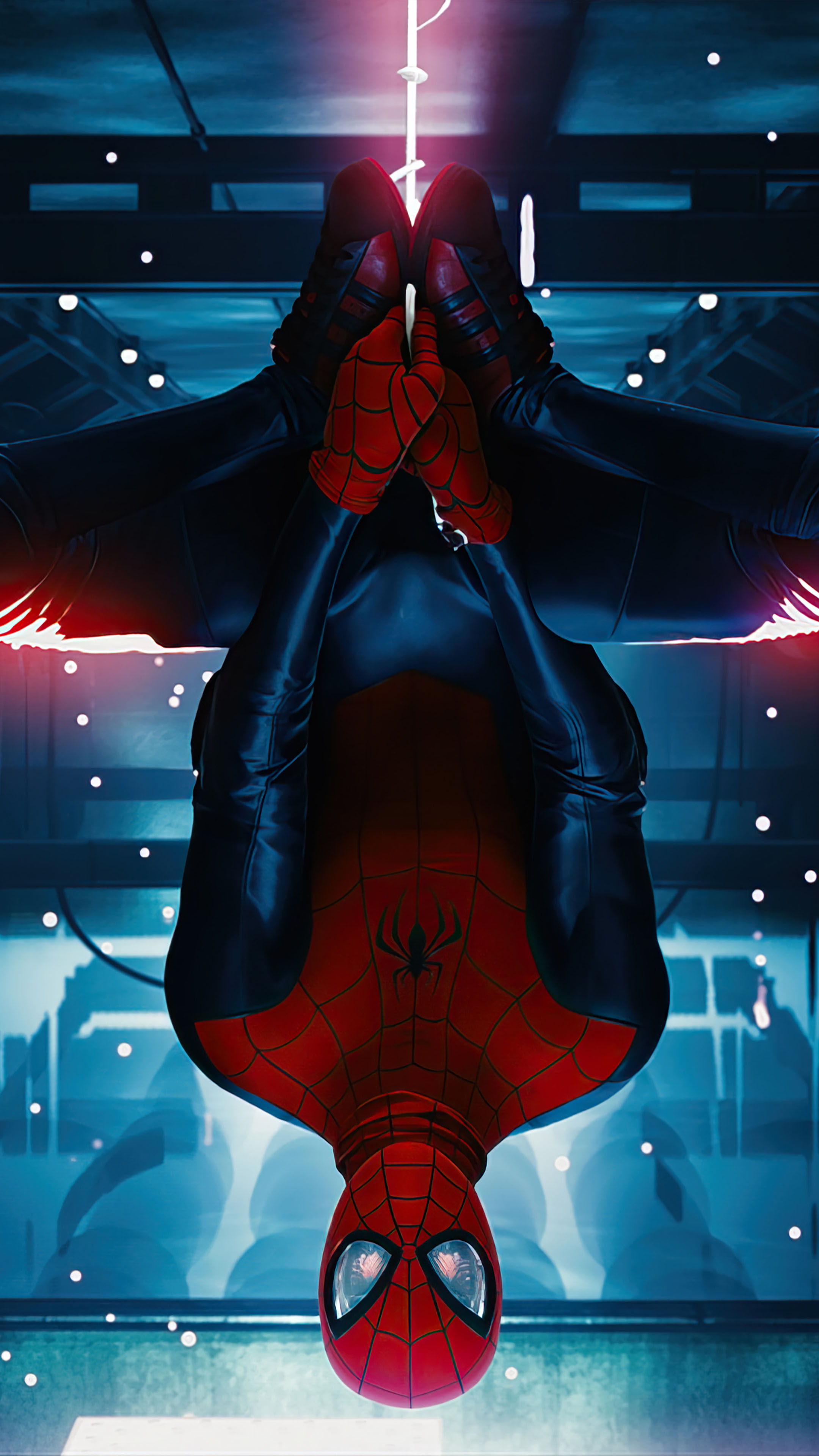 Spider-man Miles Morales Hanging Upside Down 4K Ultra HD Mobile Wallpaper