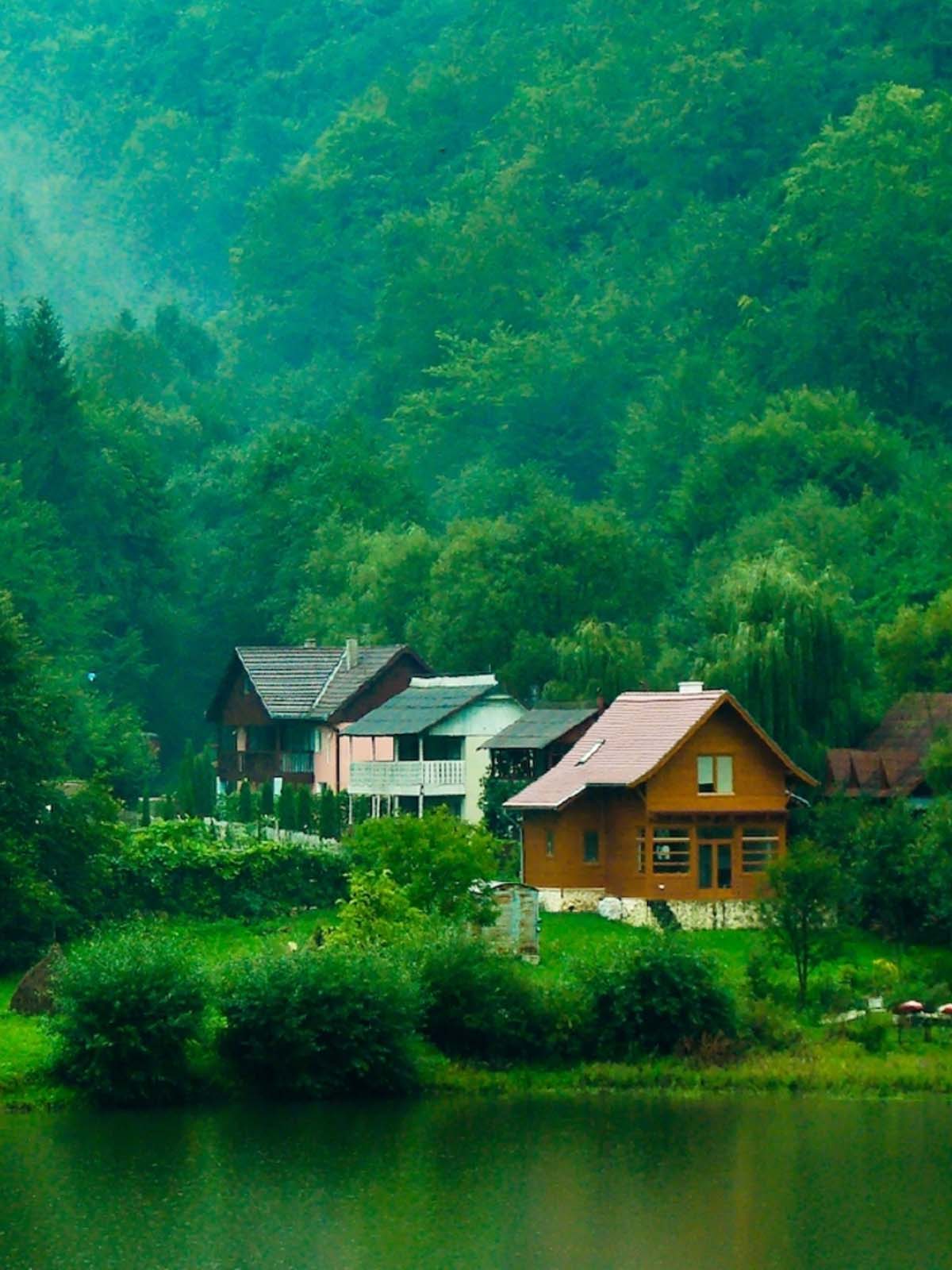 House In Deep Green Forest 4K Ultra HD Mobile Wallpaper