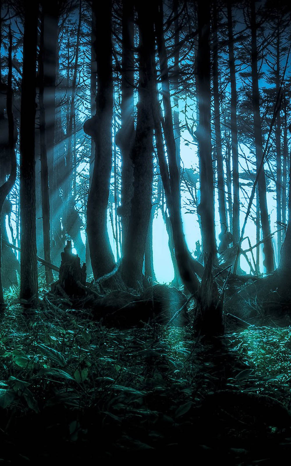 Halloween Scary Forest 4K Ultra HD Mobile Wallpaper