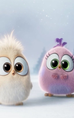 Cute Angry Birds - Download Free HD Mobile Wallpapers