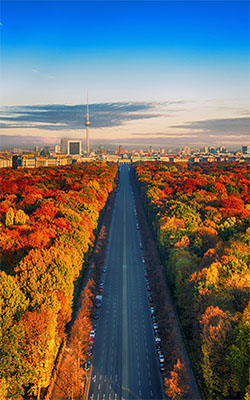 Autumn in Berlin Mobile Wallpaper Preview