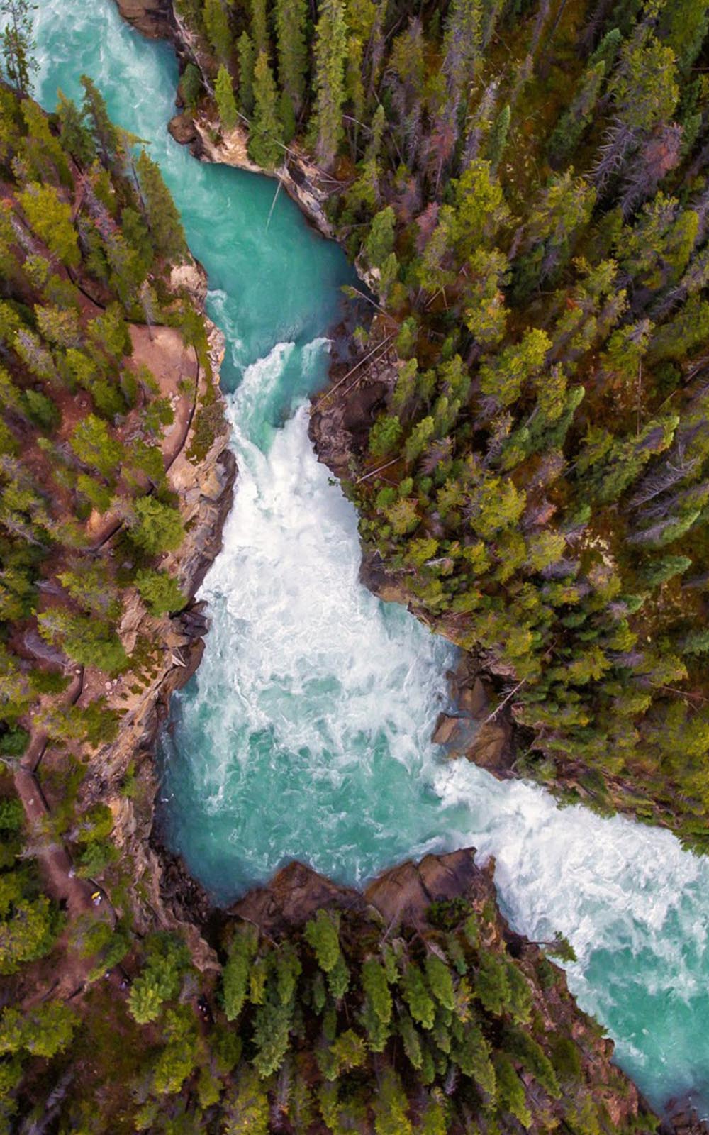 Deep Forest River - Download Free HD Mobile Wallpapers