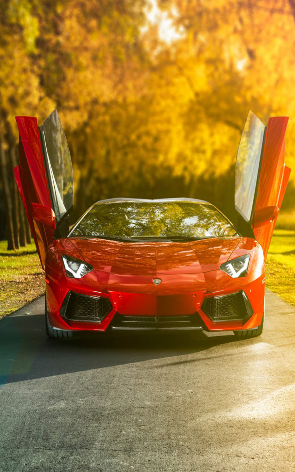 Red Lamborghini Aventador Roadster - Download Free HD Mobile Wallpapers