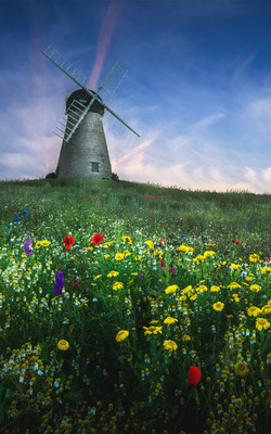 Whitburn Windmill Mobile Wallpaper Preview