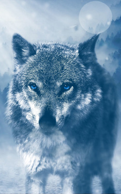 Wolf Winter Mobile Wallpaper Preview