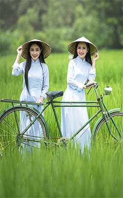 Asian Women In White Dress Mobile Wallpaper Preview