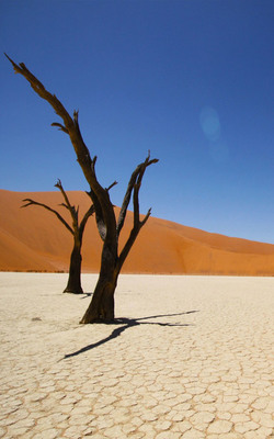 Namib Coastal Desert Mobile Wallpaper Preview