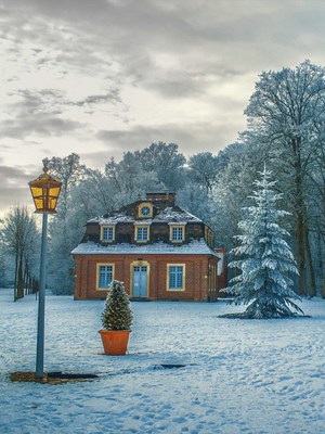Beautiful Gloomy House In Winter Frozen Forest HD Mobile Wallpaper Preview