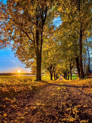 Sunrise Autumn Fall Landscape HD Mobile Wallpaper Preview