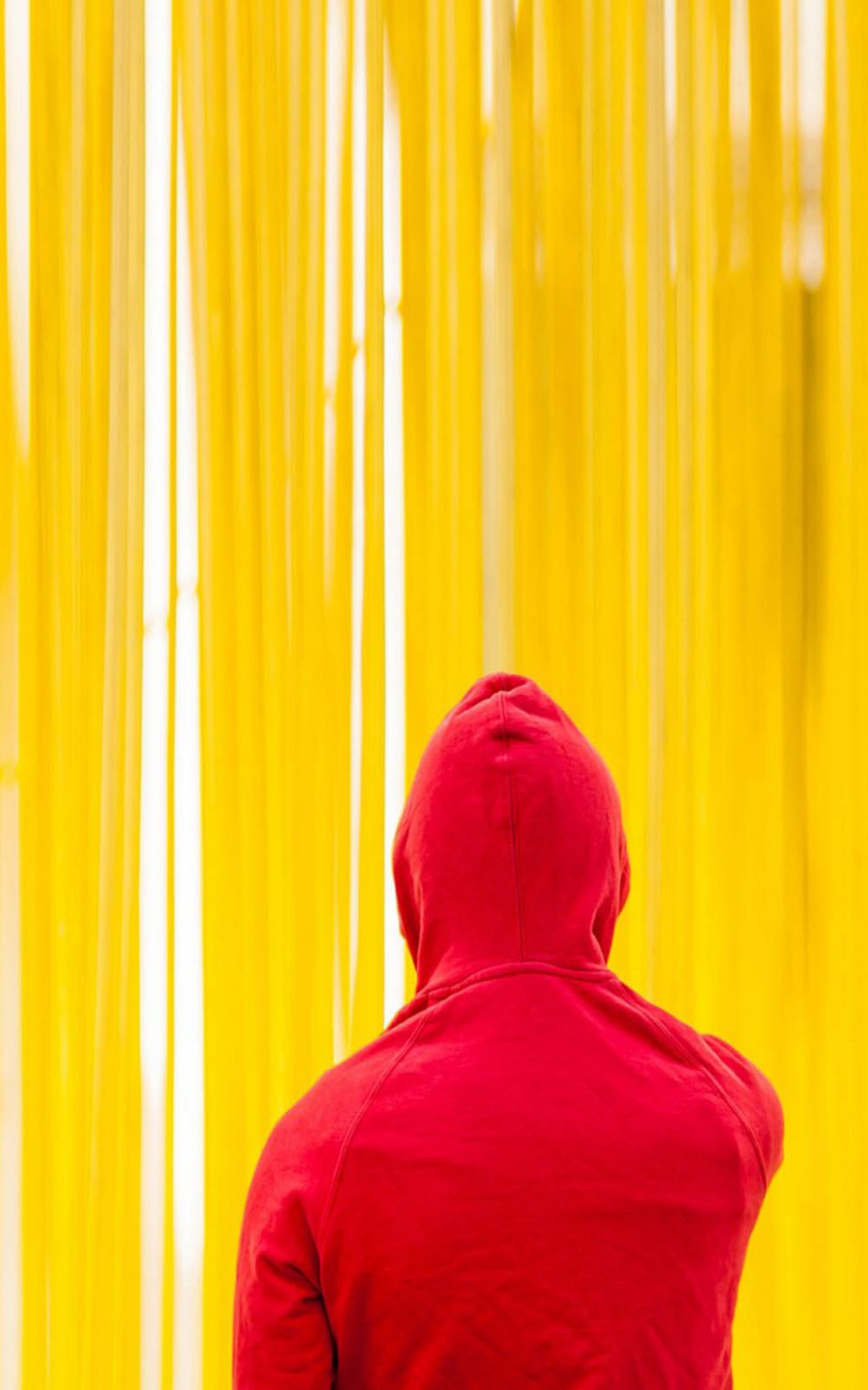 Yellow Red Hoodie HD Mobile Wallpaper