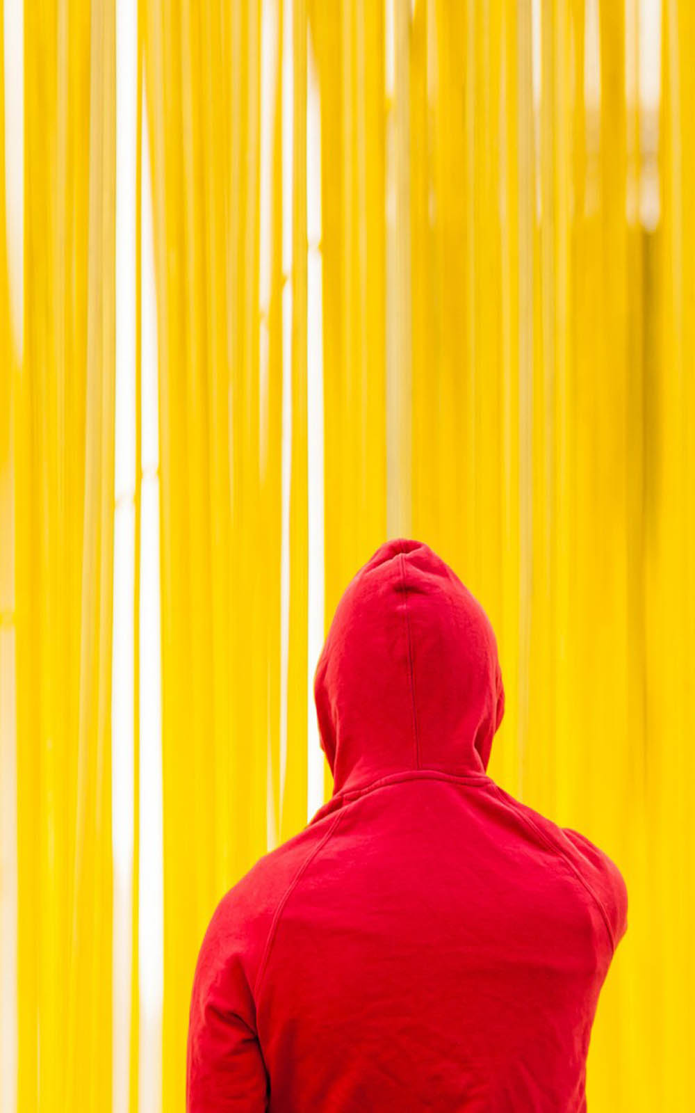 Yellow Red Hoodie 4K Ultra HD Mobile Wallpaper