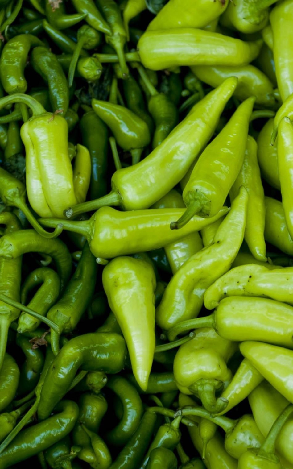 Green Chili Peppers HD Mobile Wallpaper