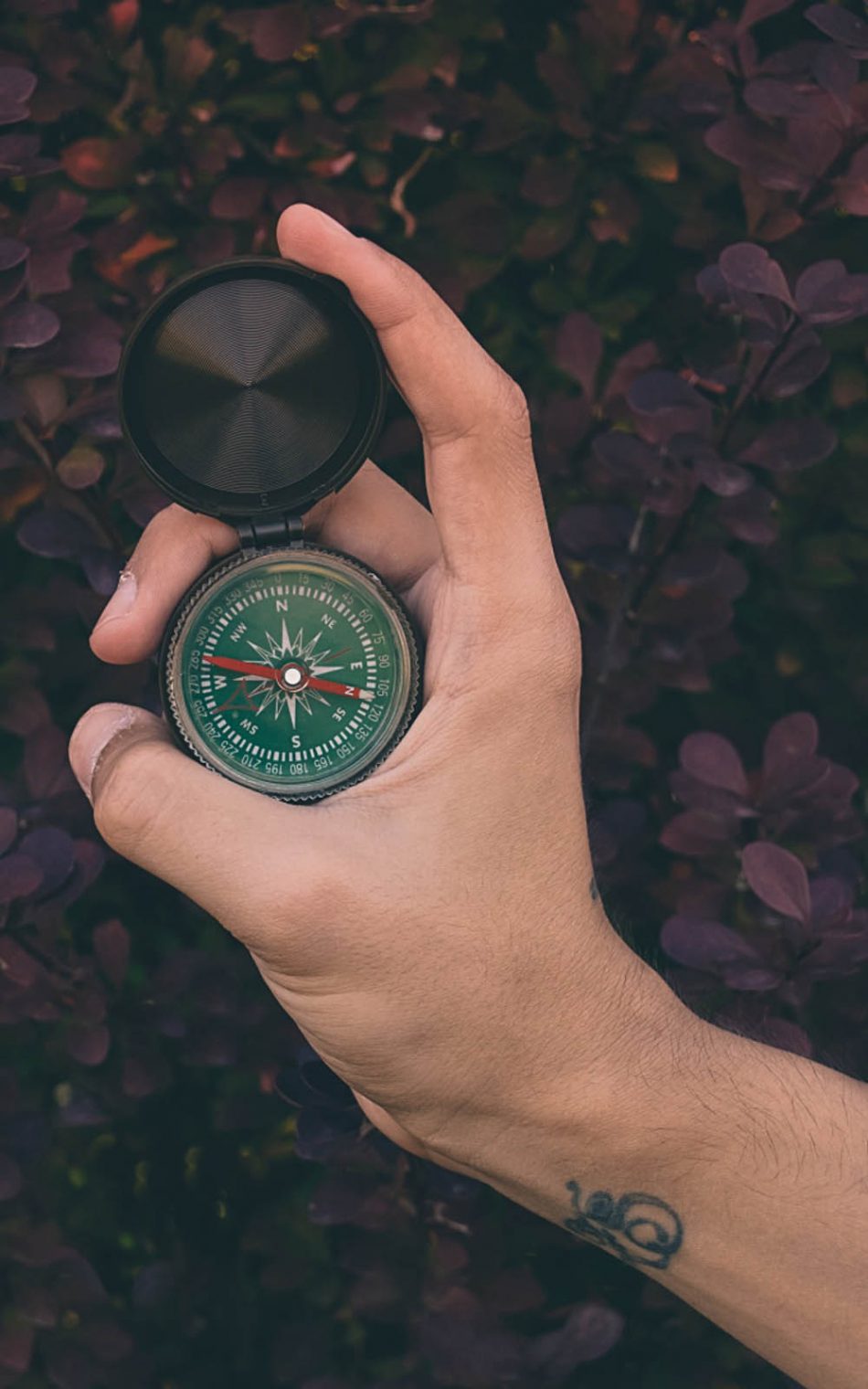 Compass Photos, Download The BEST Free Compass Stock Photos & HD Images