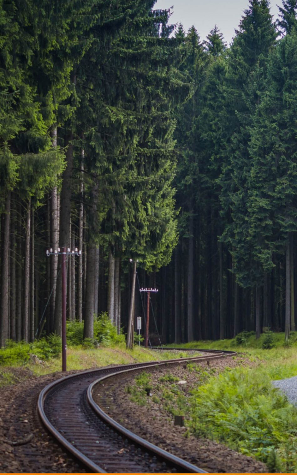 Railway Through Deep Forest HD Mobile Wallpaper