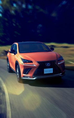 Lexus NX 300 F Sport 2018 HD Mobile Wallpaper