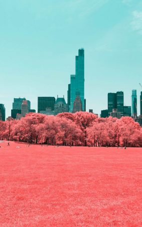 NYC Central Park Infrared Click HD Mobile Wallpaper