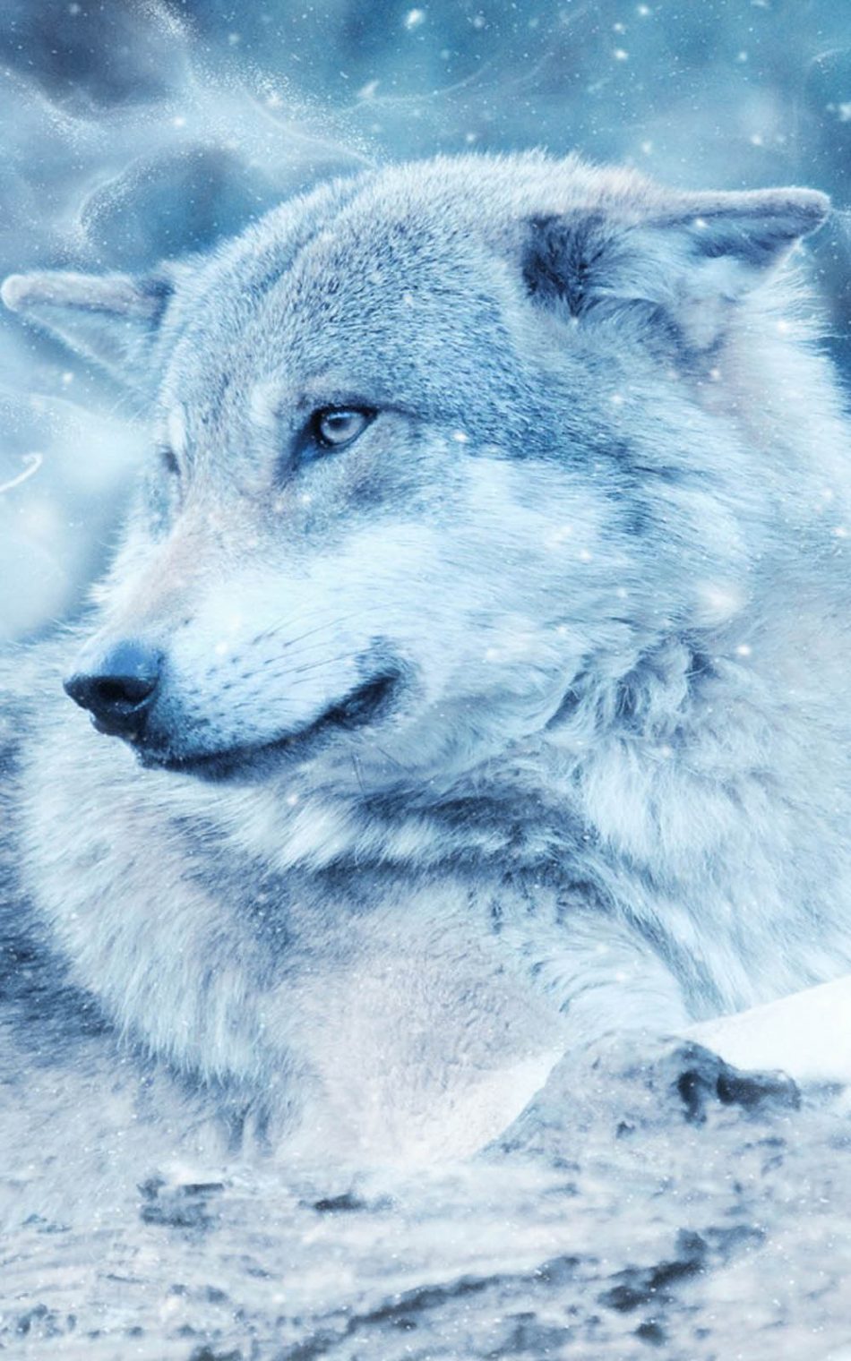 Winter Wolf HD Mobile Wallpaper