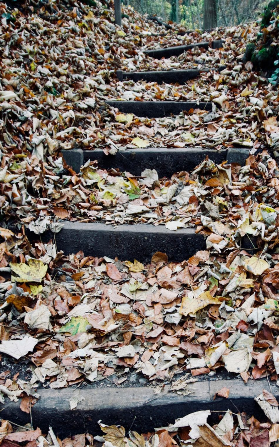 Autumn Foliage Stairs HD Mobile Wallpaper