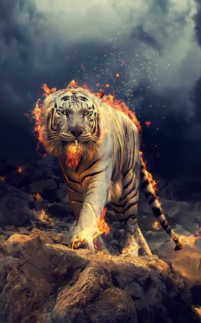 White Tiger Fire CGI HD Mobile Wallpaper