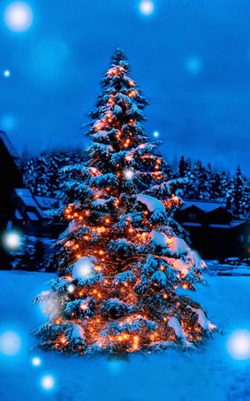 Christmas Tree Lights Decoration Snow Covered HD Mobile Wallpaper