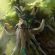 Treant Protector Dota 2 HD Mobile Wallpaper