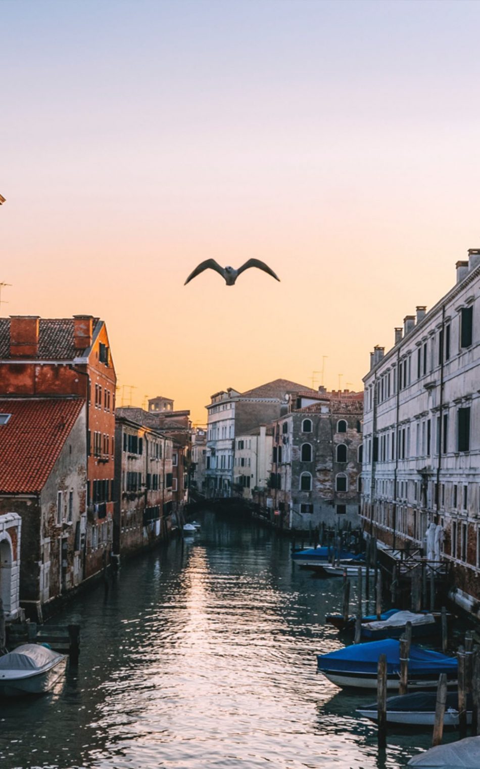 Venice Italy Wallpapers Download Free  PixelsTalkNet