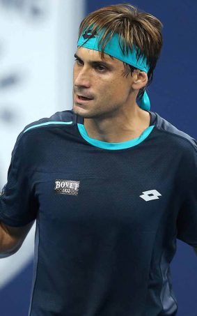 David Ferrer HD Mobile Wallpaper