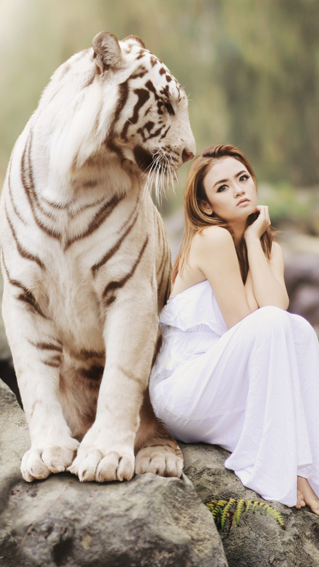 White Tiger Wallpapers  Apps on Google Play