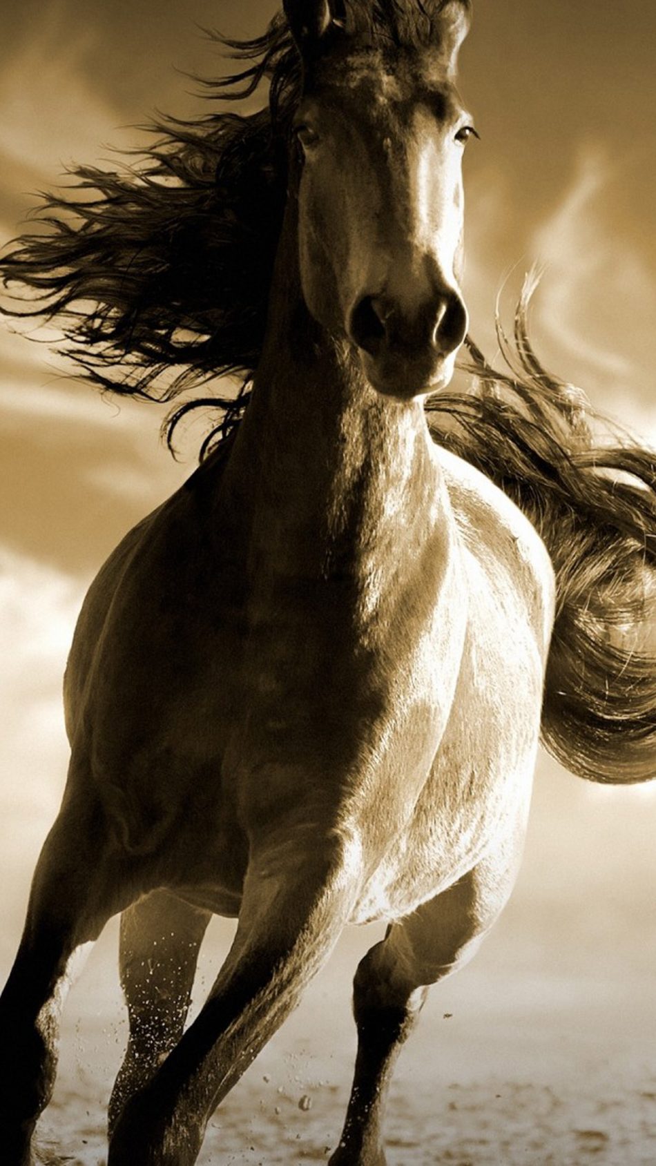 Running Horse 4K Ultra HD Mobile Wallpaper