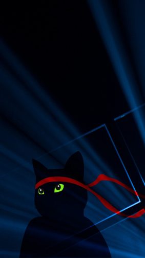 Windows 10 Ninja Cat Dark HD Mobile Wallpaper