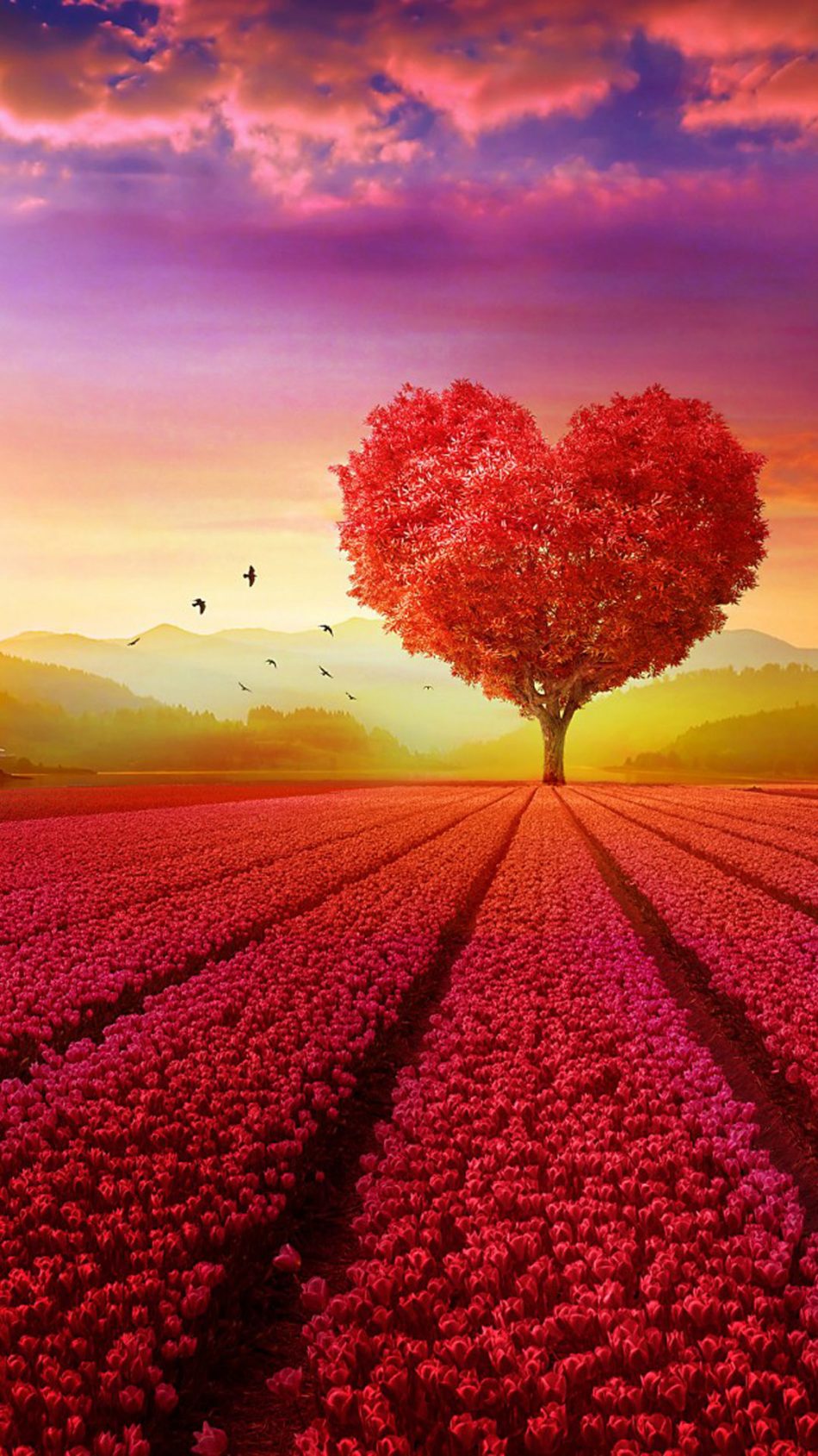 Love Heart Shape Tree Flowers 4K Ultra HD Mobile Wallpaper