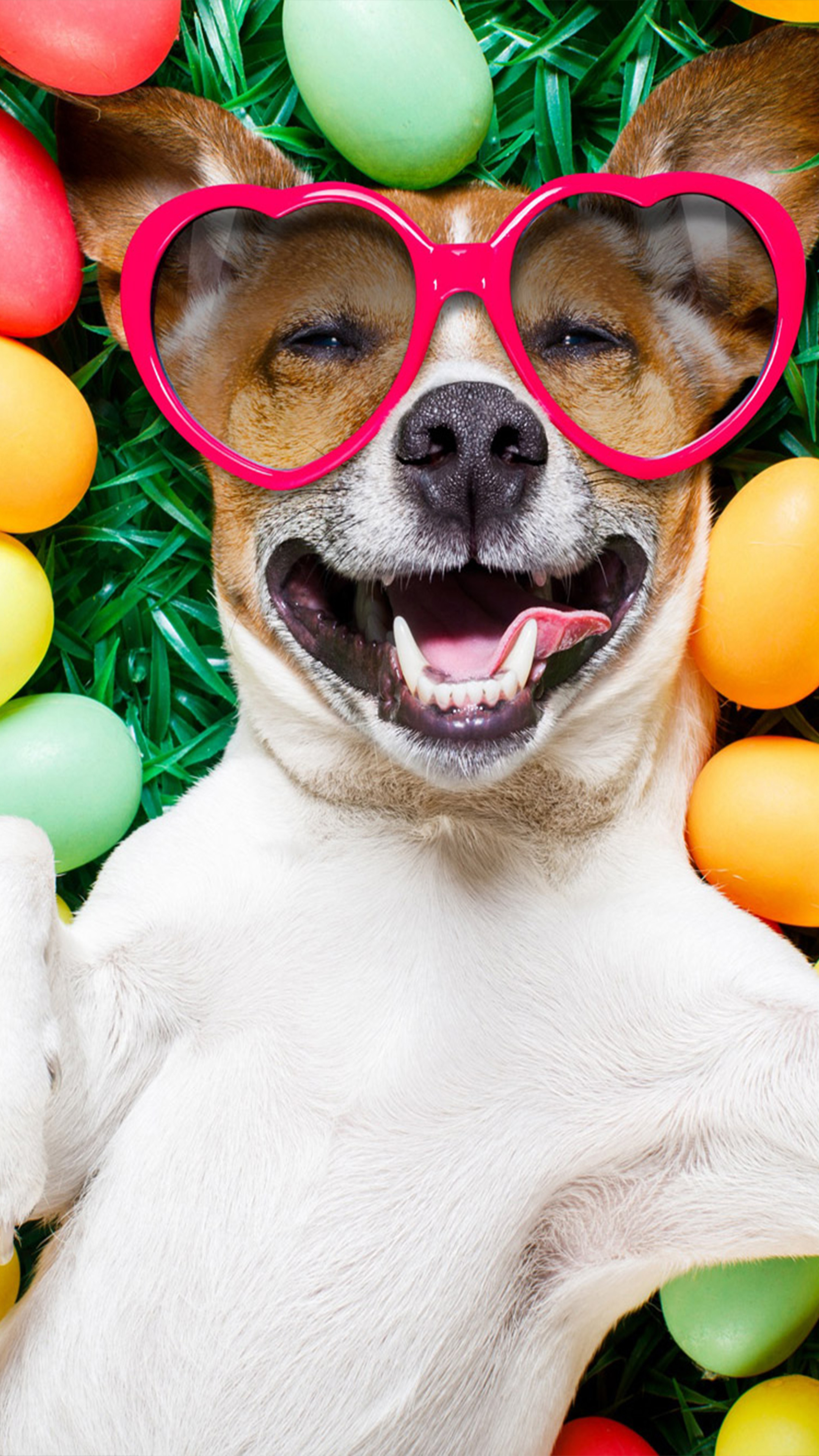 Happy Dog With Easter Eggs 4K Ultra HD Mobile Wallpaper
