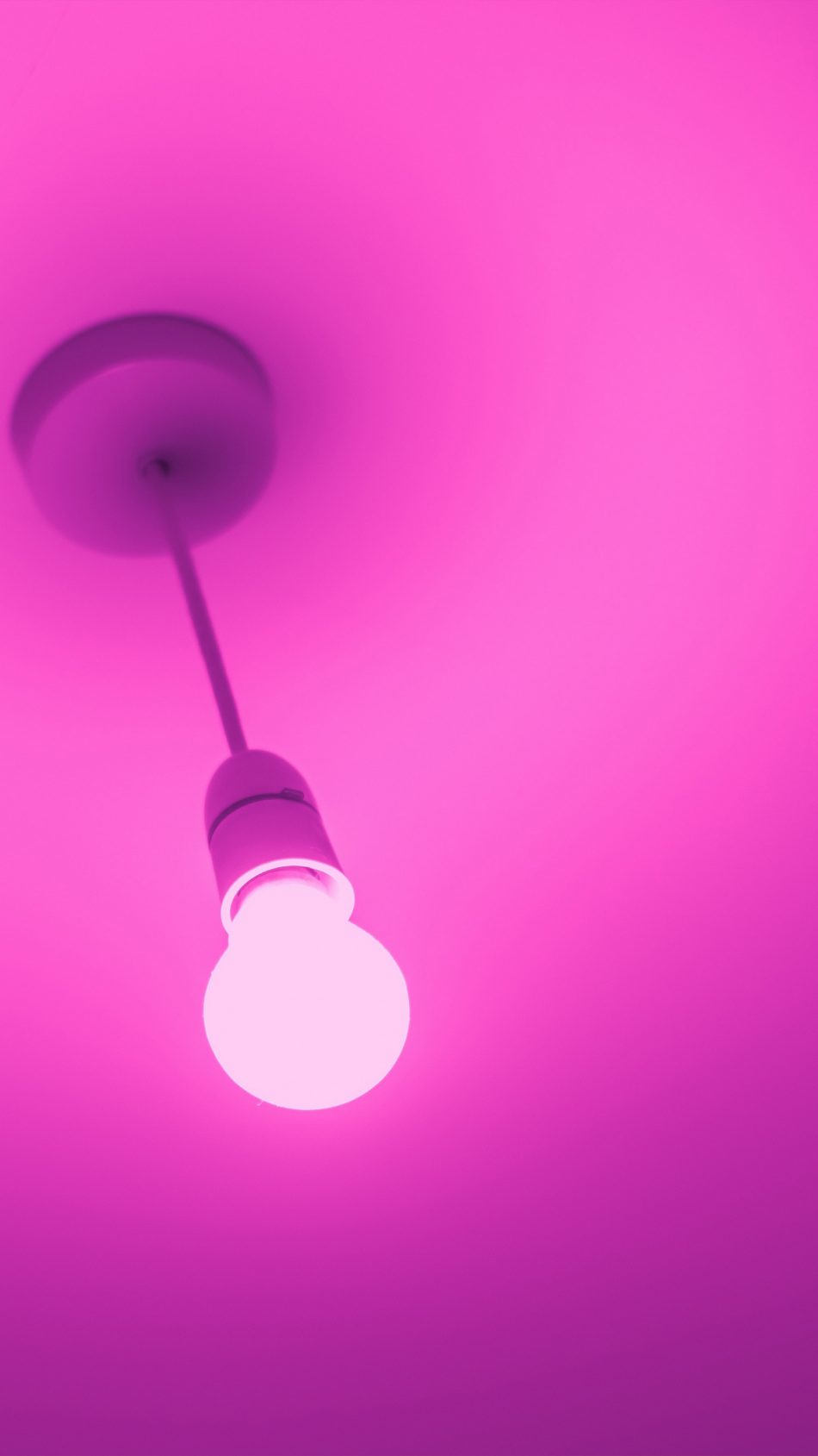Pink Light Bulb 4K & Ultra HD Mobile Wallpaper