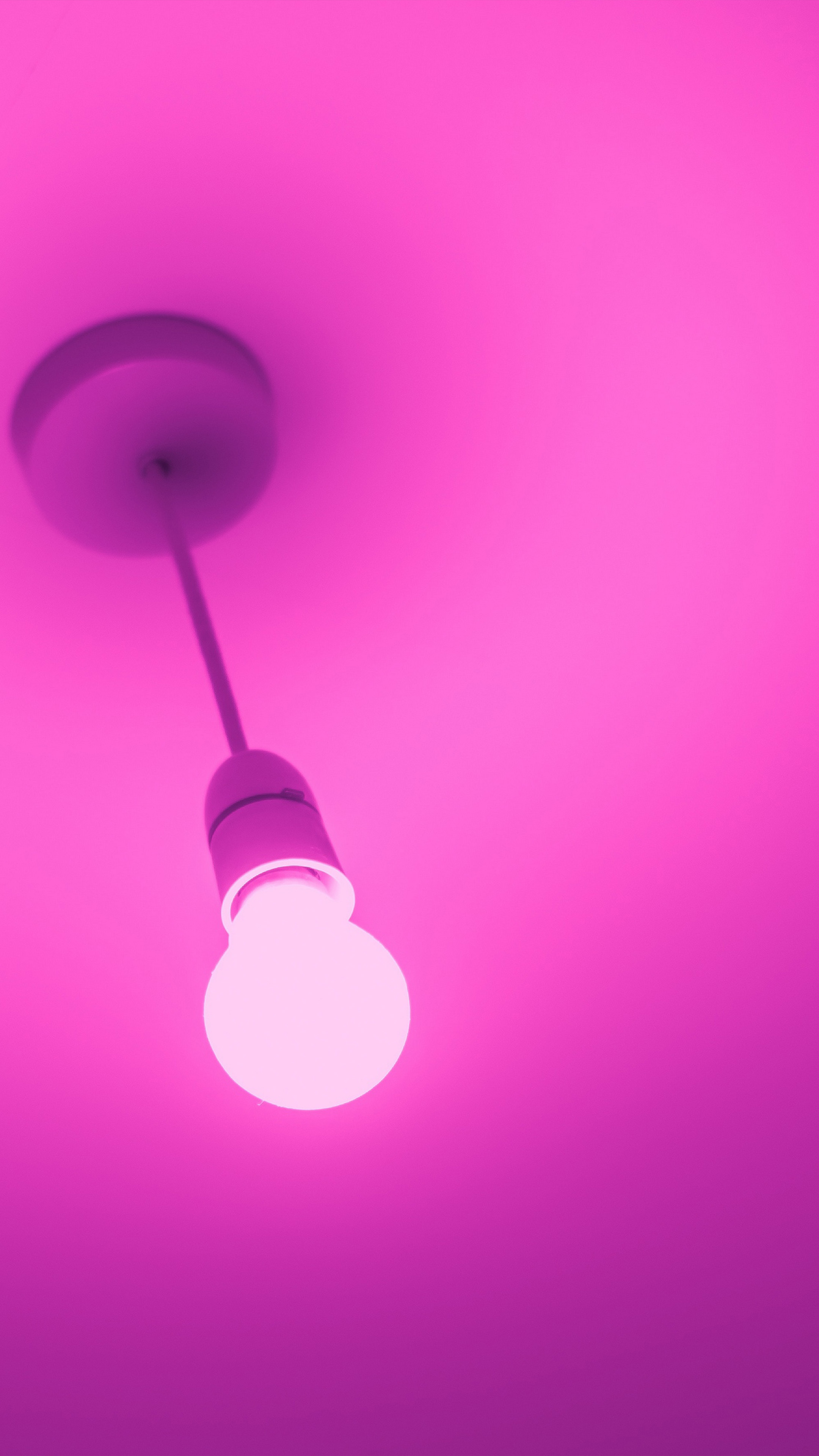 Pink Light Bulb 4K Ultra HD Mobile Wallpaper