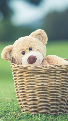 Teddy Bear Basket Playground 4K Ultra HD Mobile Wallpaper