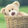 Teddy Bear Basket Playground 4K Ultra HD Mobile Wallpaper