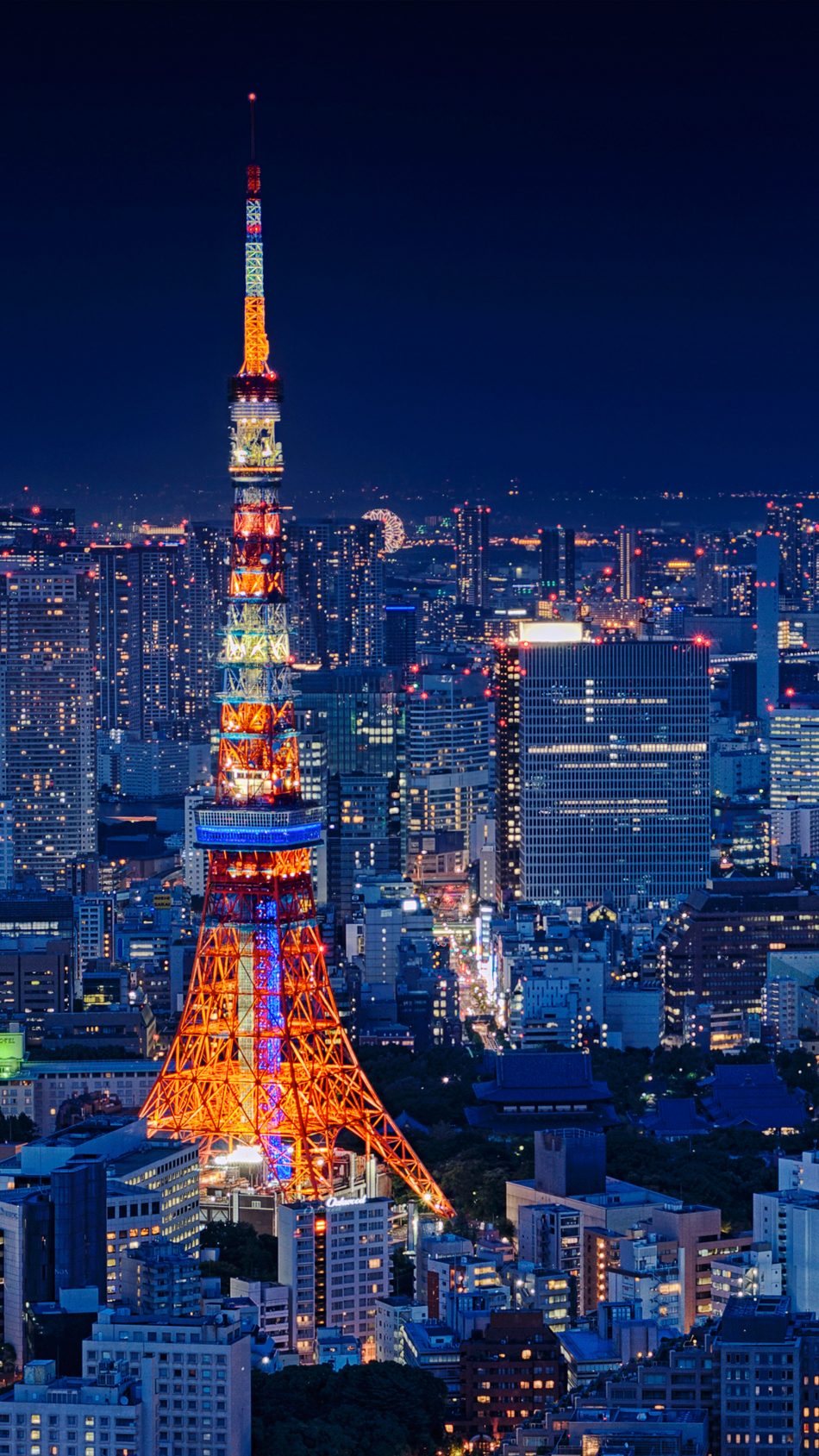 Tokyo Tower Japan  Night Cityscape Free 4K  Ultra HD Mobile 