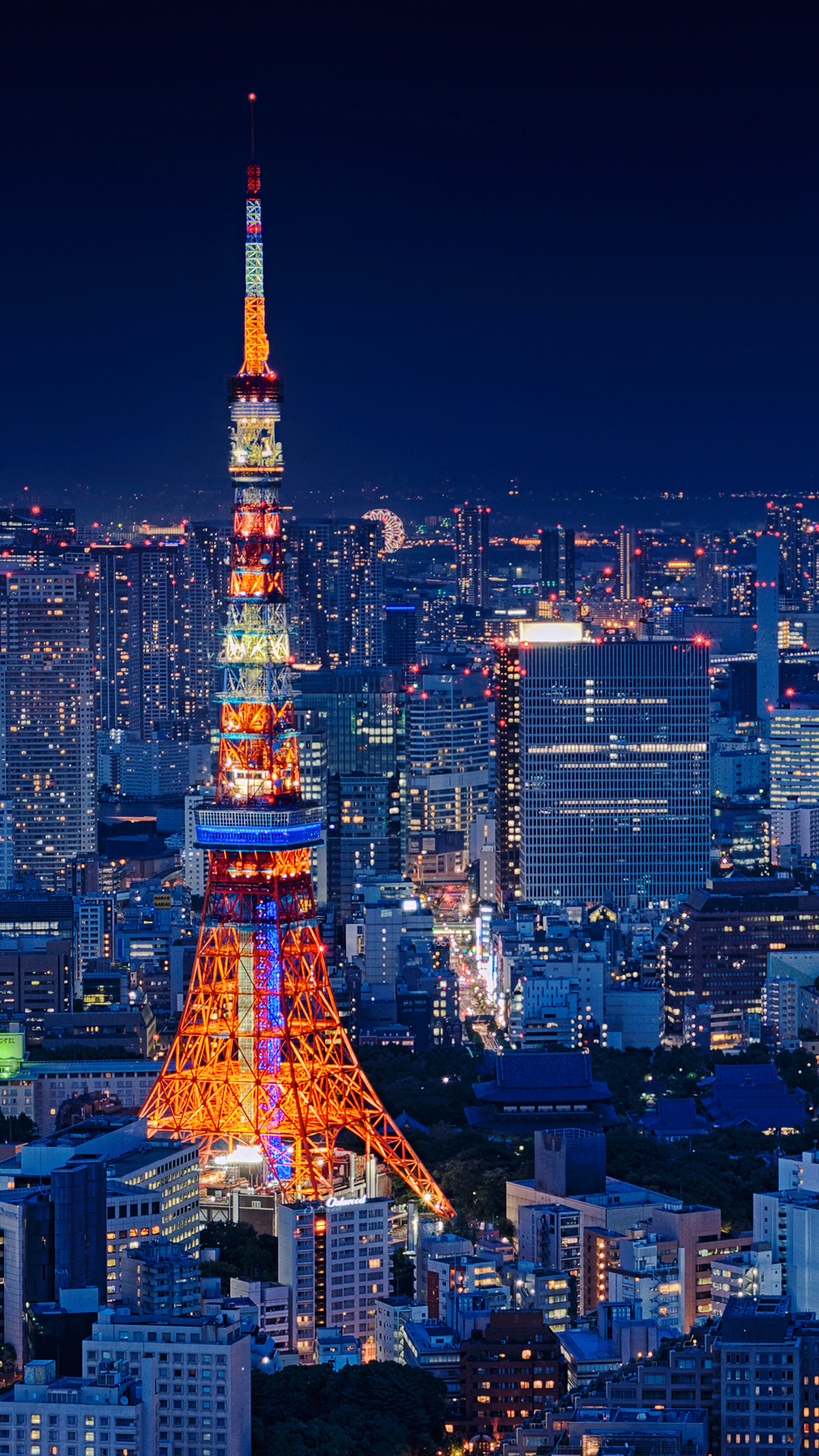 Tokyo Tower Japan Night Cityscape Free 4K  Ultra  HD  Mobile 