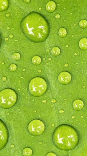 Water Drop Green Macro 4K Ultra HD Mobile Wallpaper