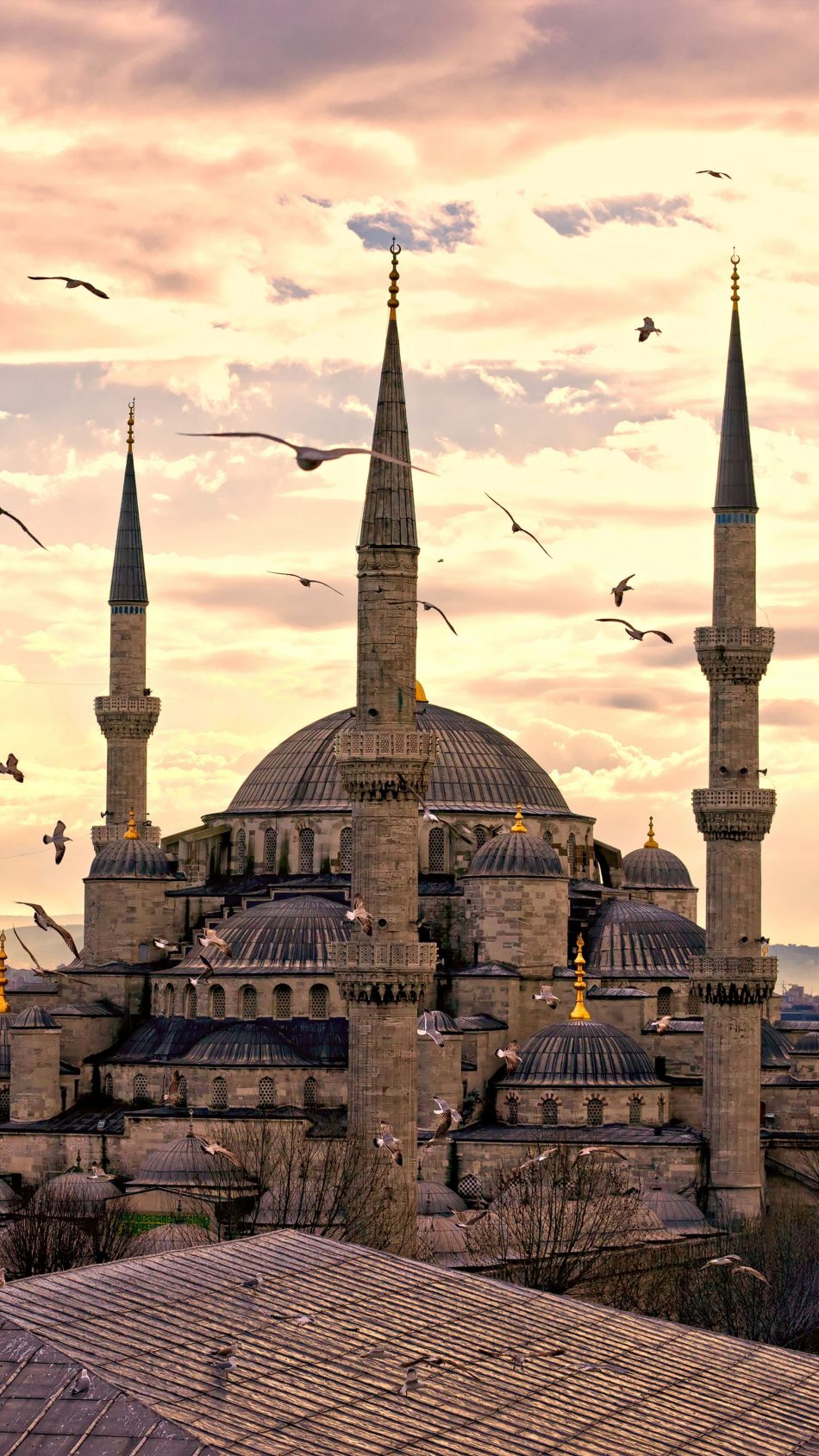 Sultanahmet Mosque Istanbul Turkey 4K Ultra HD Mobile Wallpaper