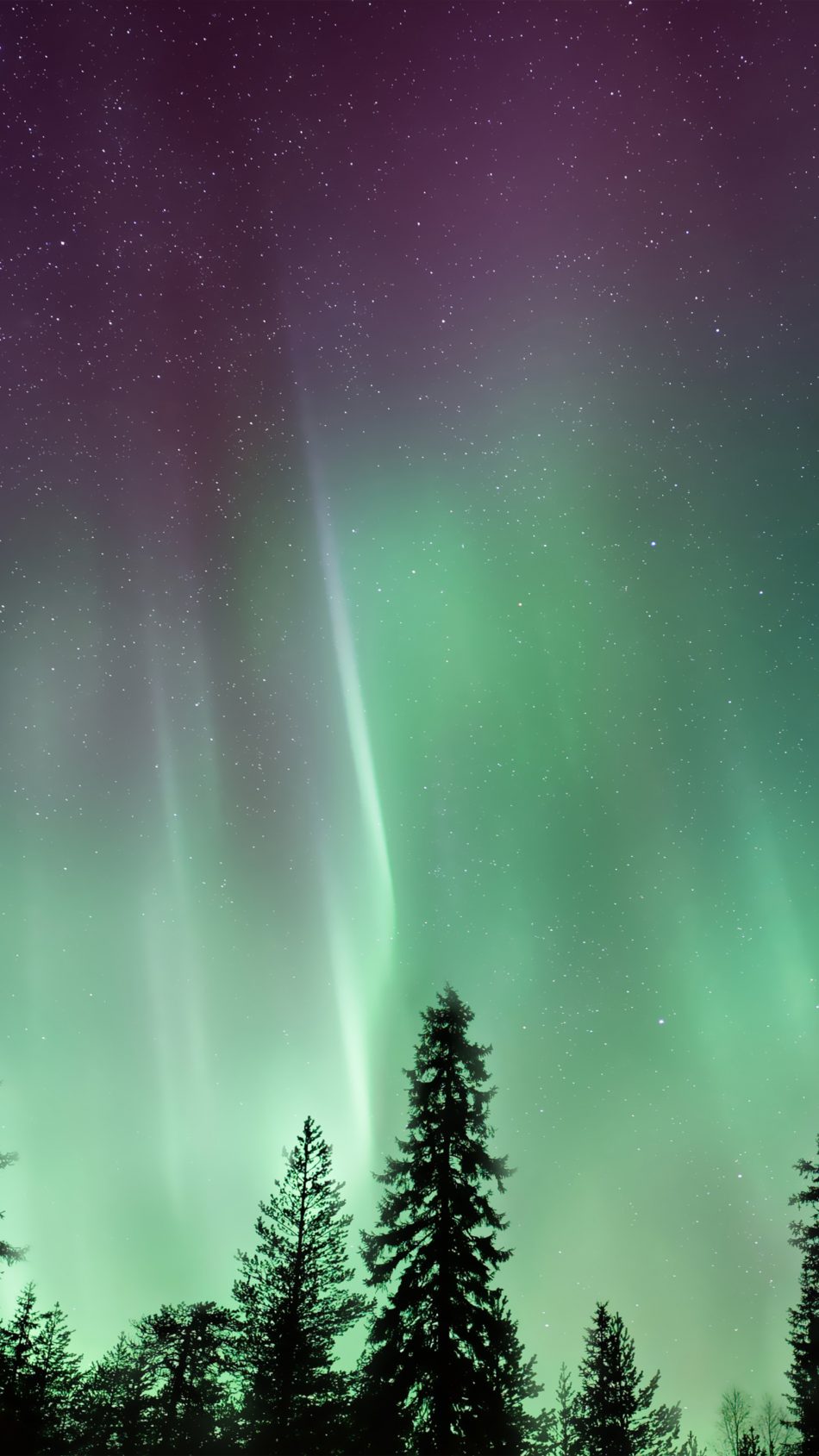 Amazing Northern Lights Aurora Borealis 4k Ultra Hd Mobile Wallpaper