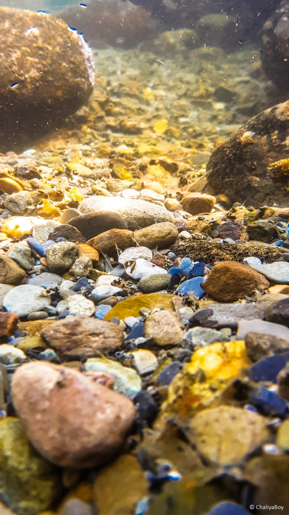 River Stones Under Water Photo Click 4K Ultra HD Mobile Wallpaper