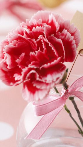 Valentine's Day Flower 4K Ultra HD Mobile Wallpaper
