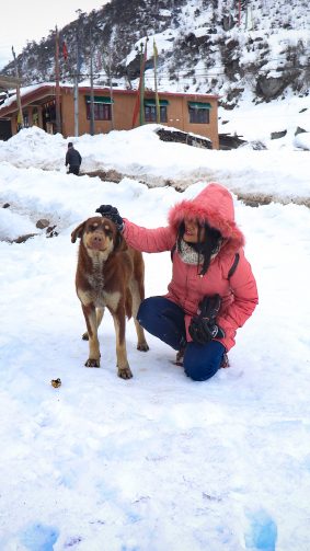 Girl With Dog Snow Winter 4K Ultra HD Mobile Wallpaper