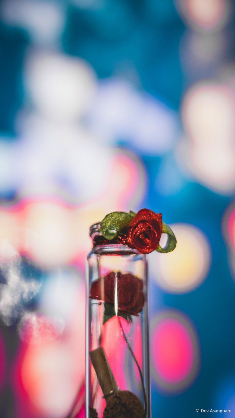 Tube Flower Decoration Bokeh 4K Ultra HD Mobile Wallpaper