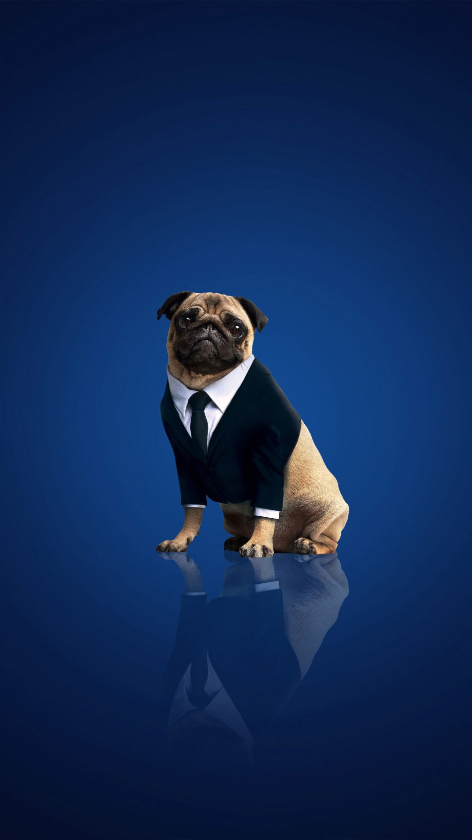 Frank The Pug In Men In Black International 4K Ultra HD Mobile Wallpaper