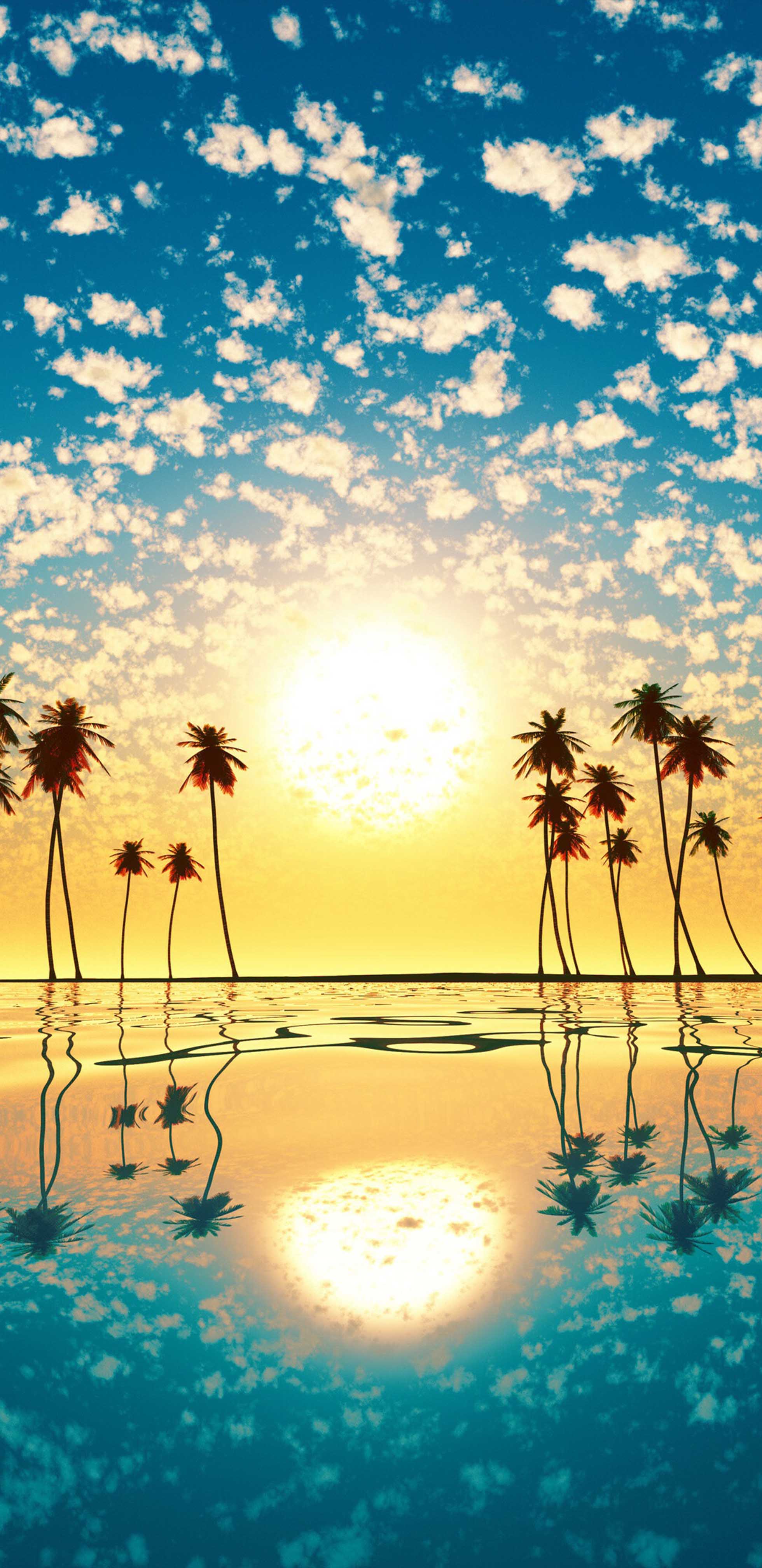 Sunset Palm Tree Cloud Sky Reflection 4K Ultra HD Mobile Wallpaper