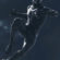 Black Panther Artwork 4K Ultra HD Mobile Wallpaper